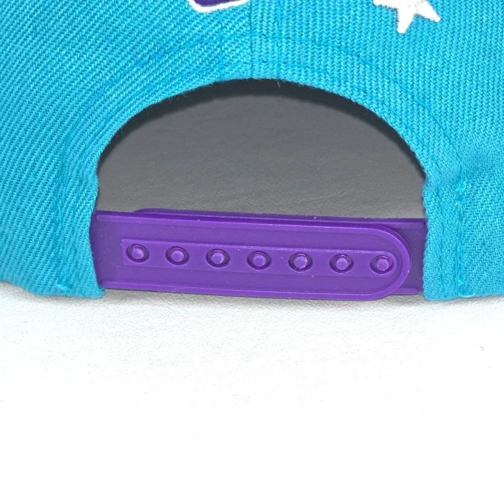 N/A charlotte hornets